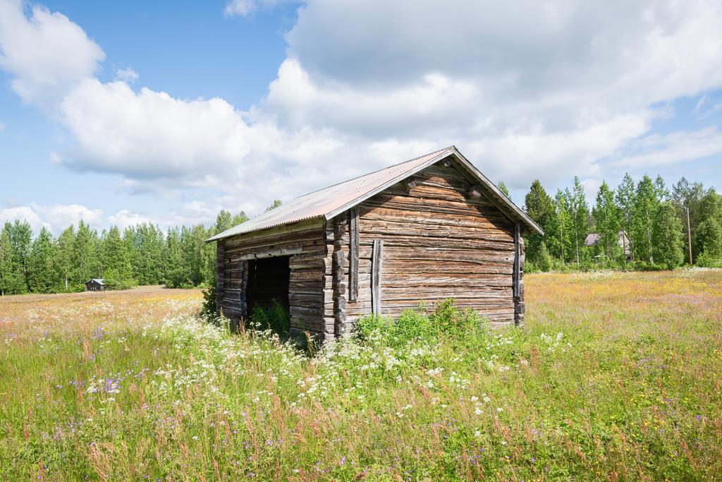 Egen ängsmark ingår