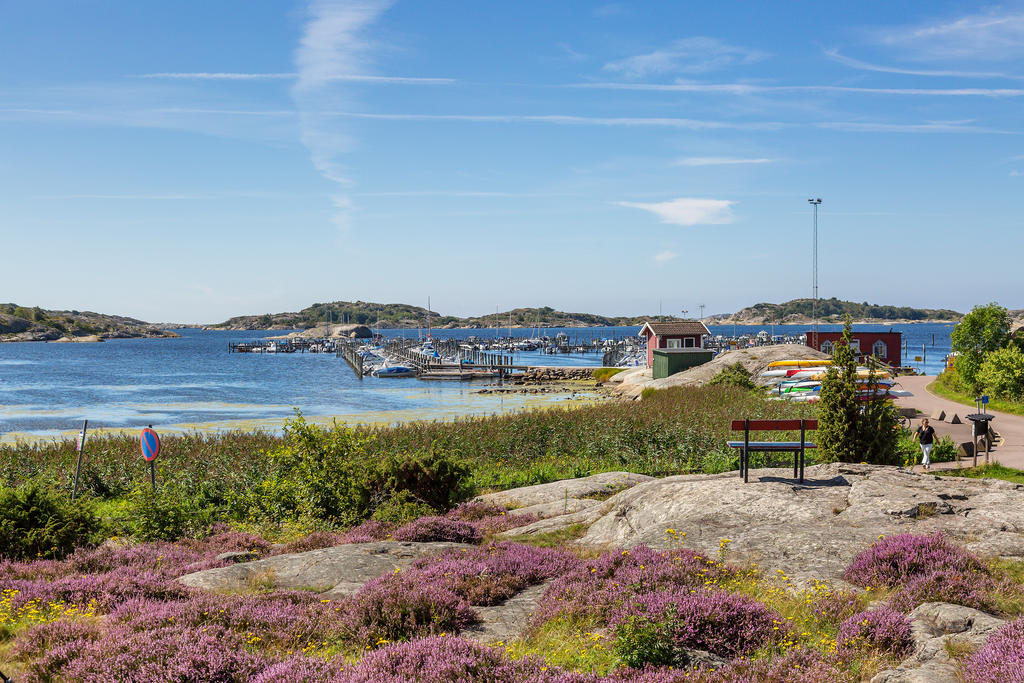 Skintebo hamn. Bara en promenad bort