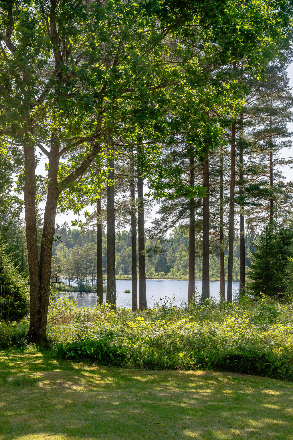 Sjönära med badrocksavstånd till morgondoppet
