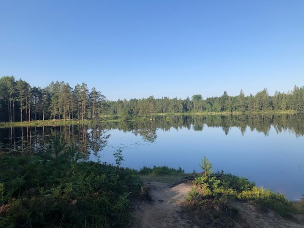 Säljarens bild vid Sotsjön nedanför huset