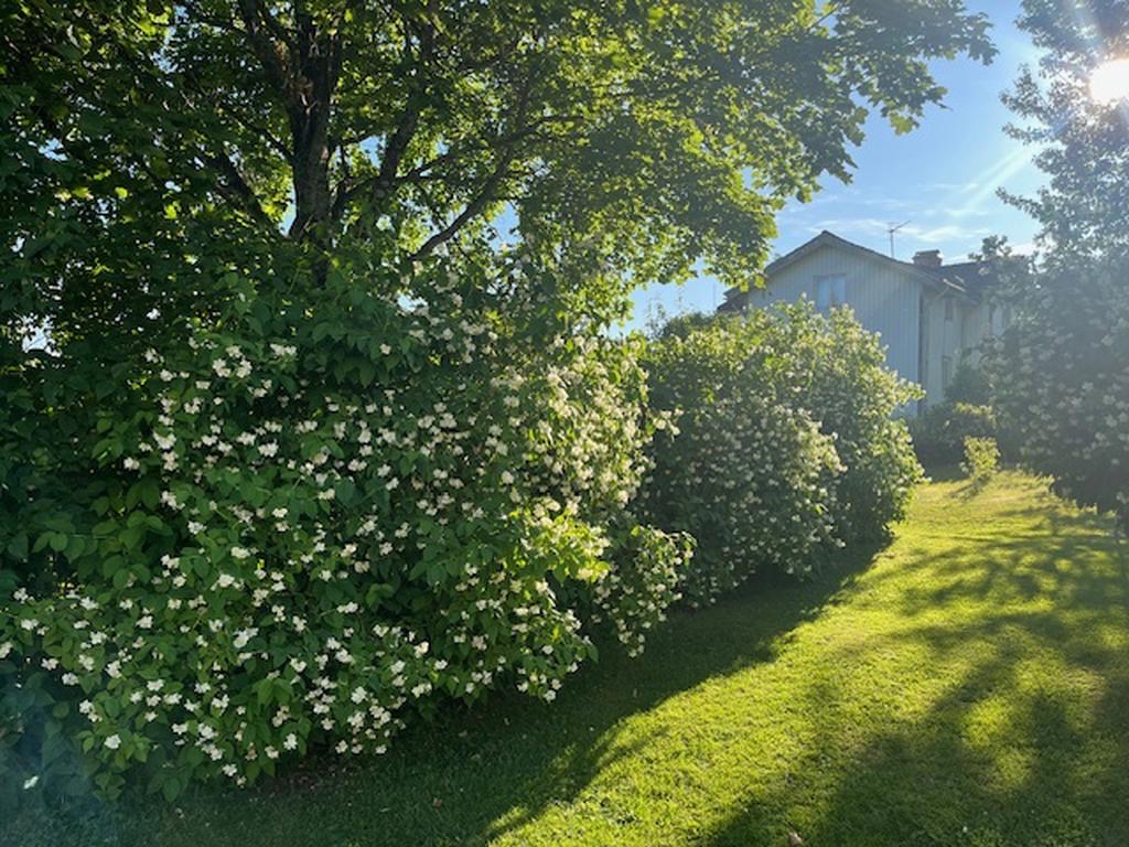 Säljarens egna bilder. 