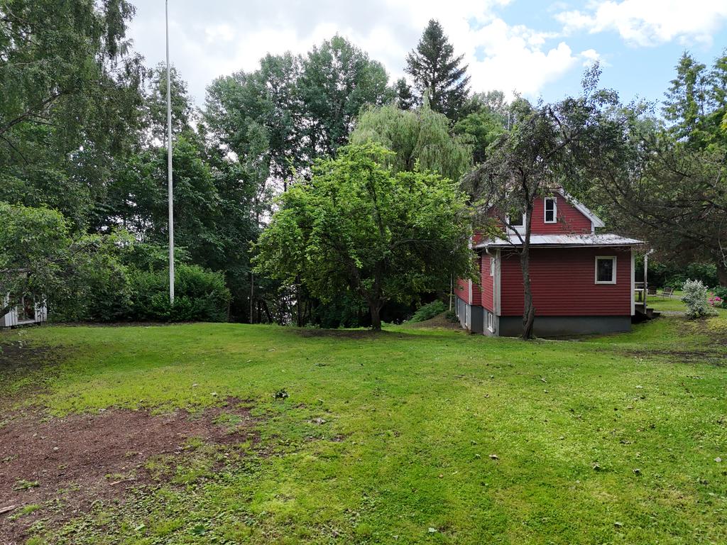 Vy över trädgården