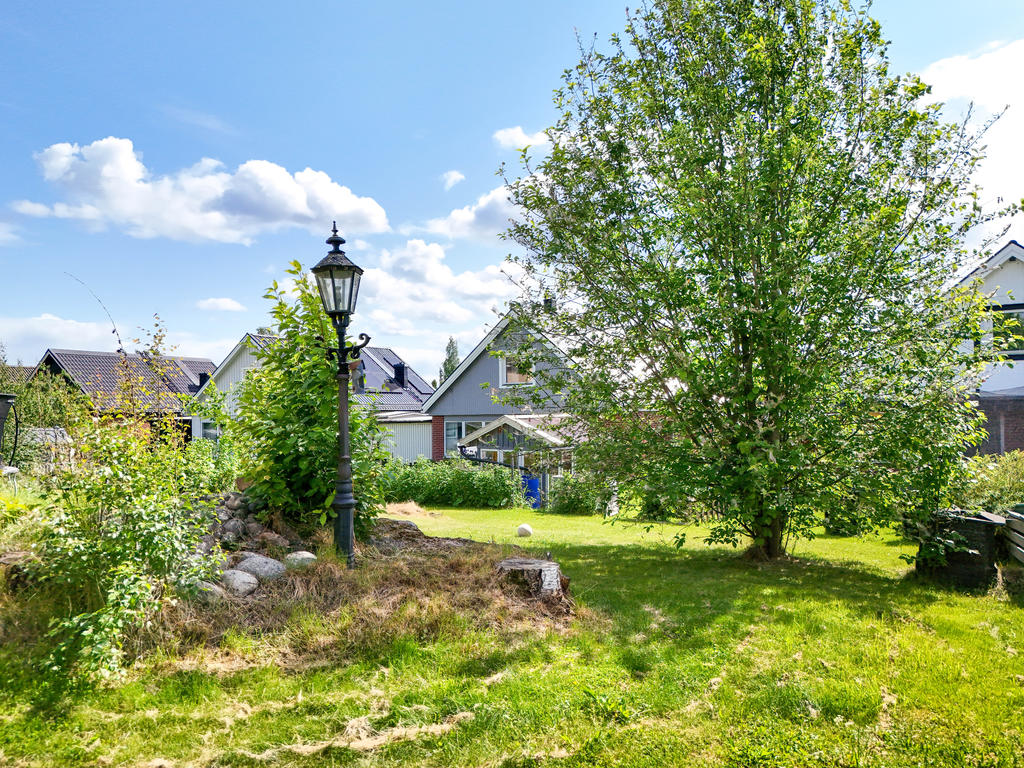 Del av trädgård. 