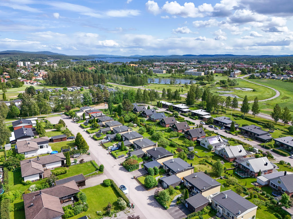 Vy över Blåbärsvägen på Björktjära. 