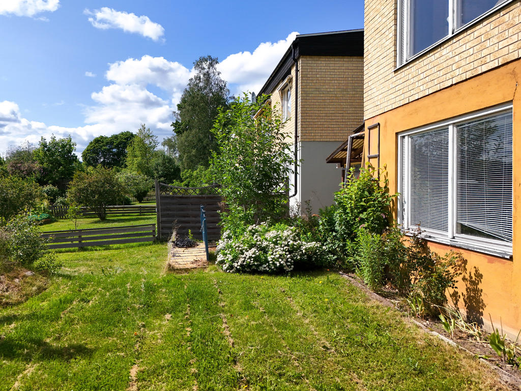 Del av trädgård i söderläge. 