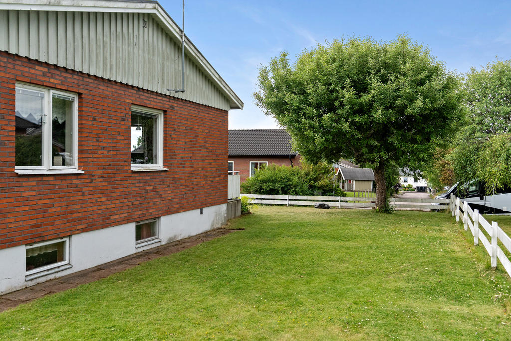 Trädgård