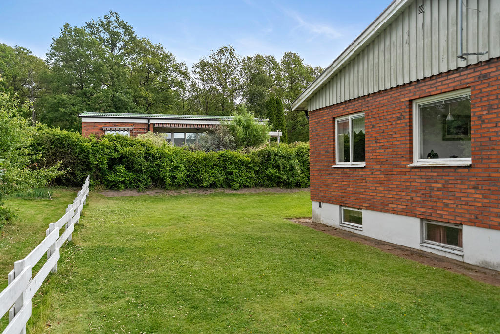 Trädgård