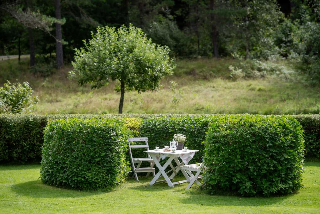 Mysig Berså i trädgården