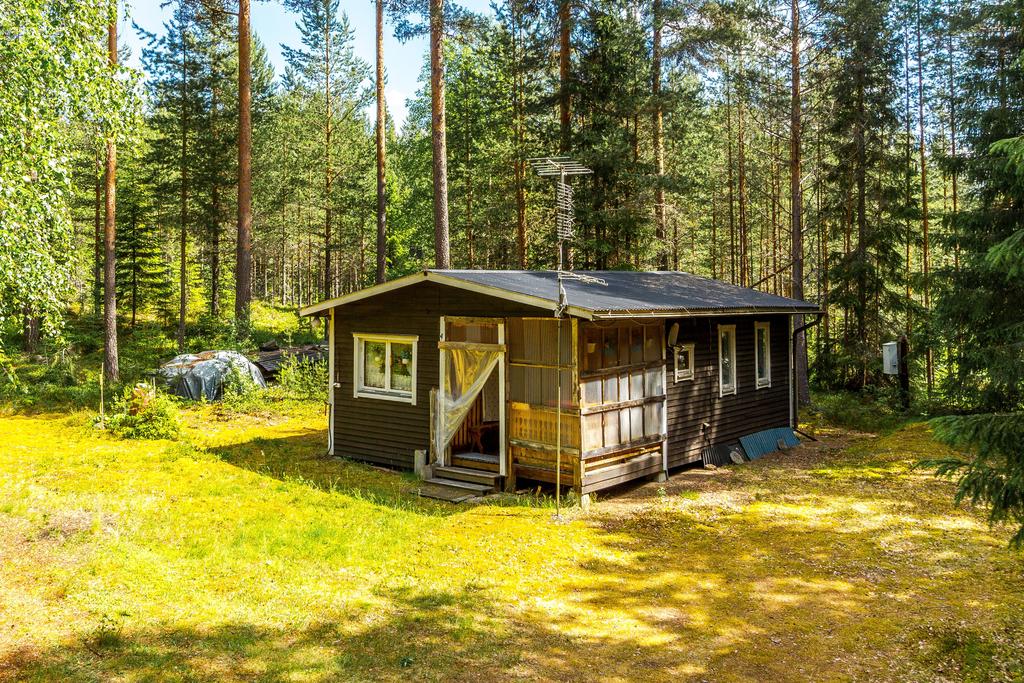 Exteriör