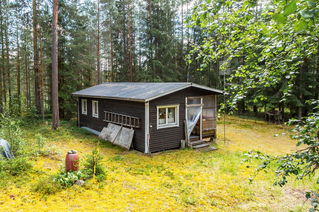 Exteriör