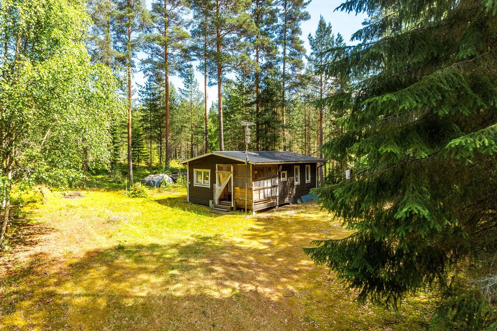Exteriör