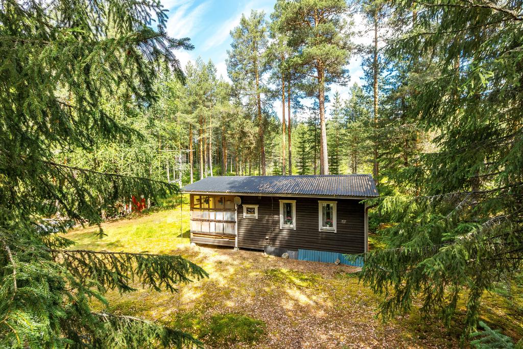 Exteriör