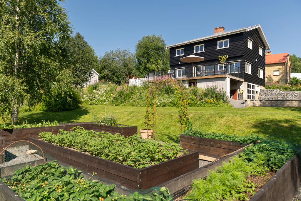 Härlig odlingsyta
