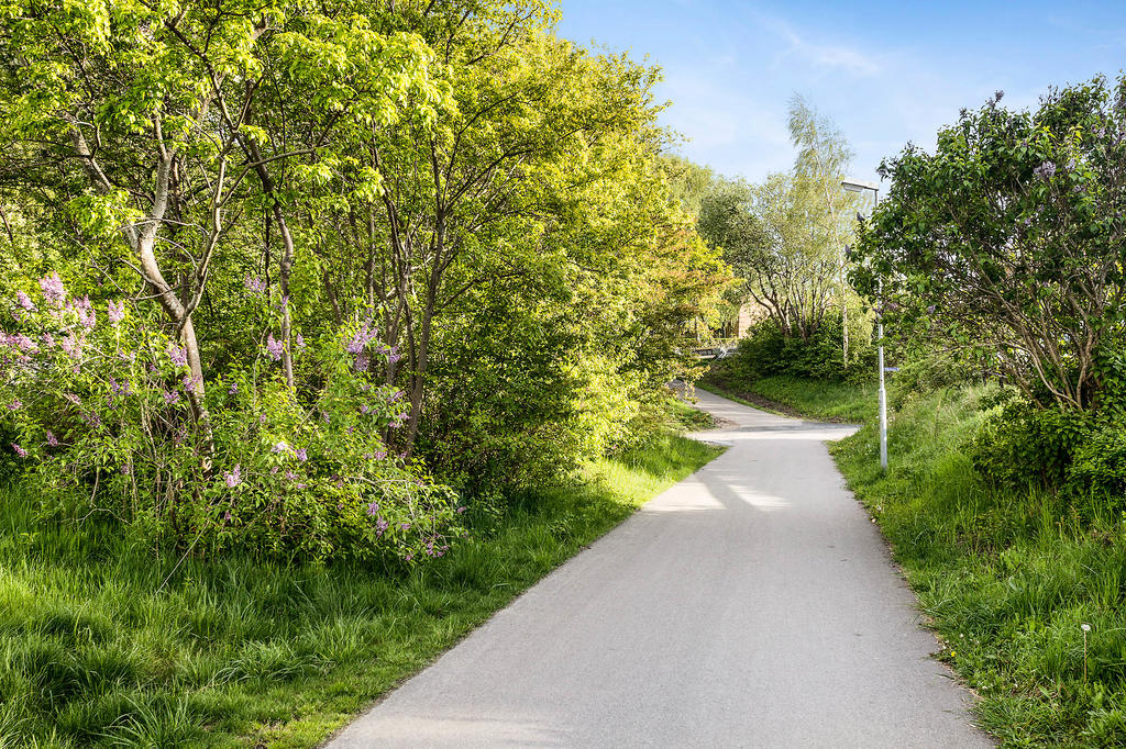 Grönskande omgivningar!