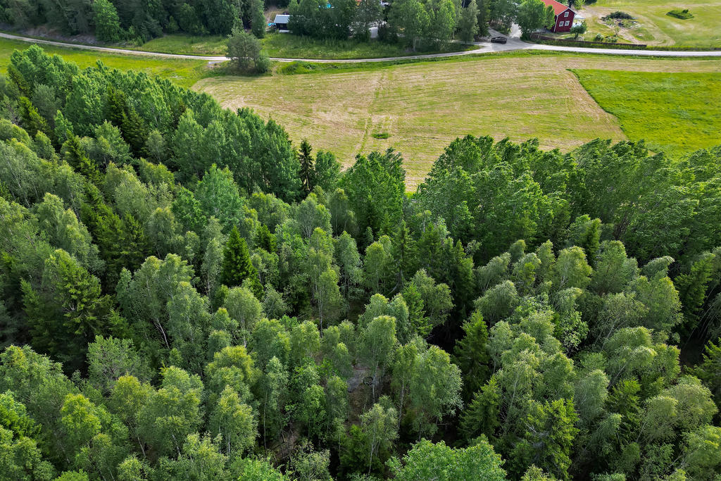 Här bor du i ett lugnt område