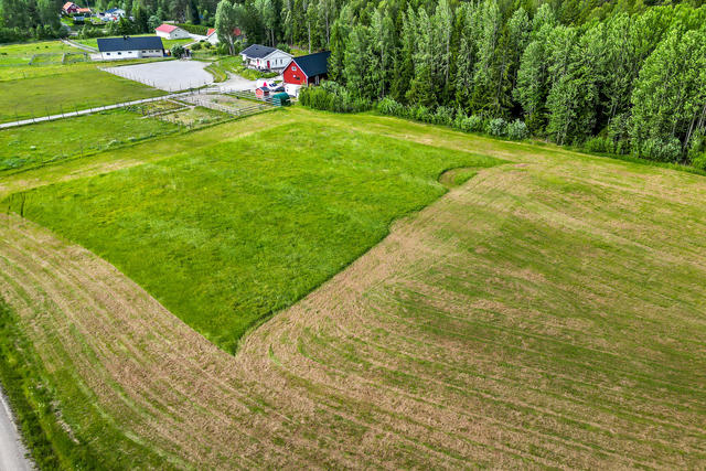 Naturnära läge