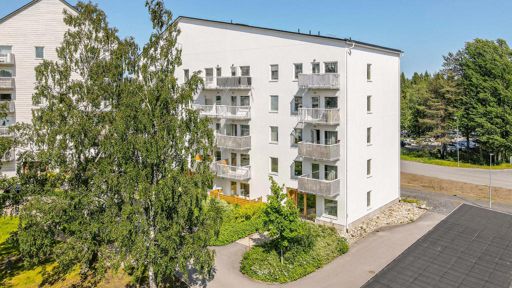 Drönarbild