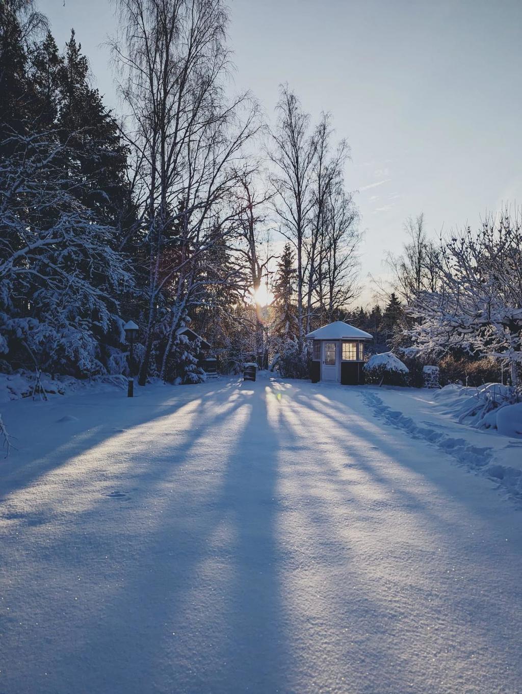 Säljarens bild