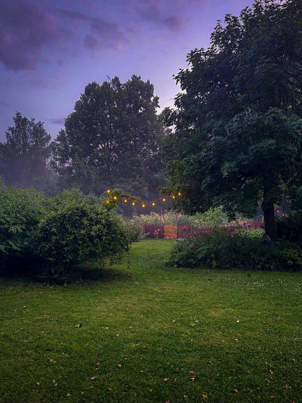 Säljarens bild