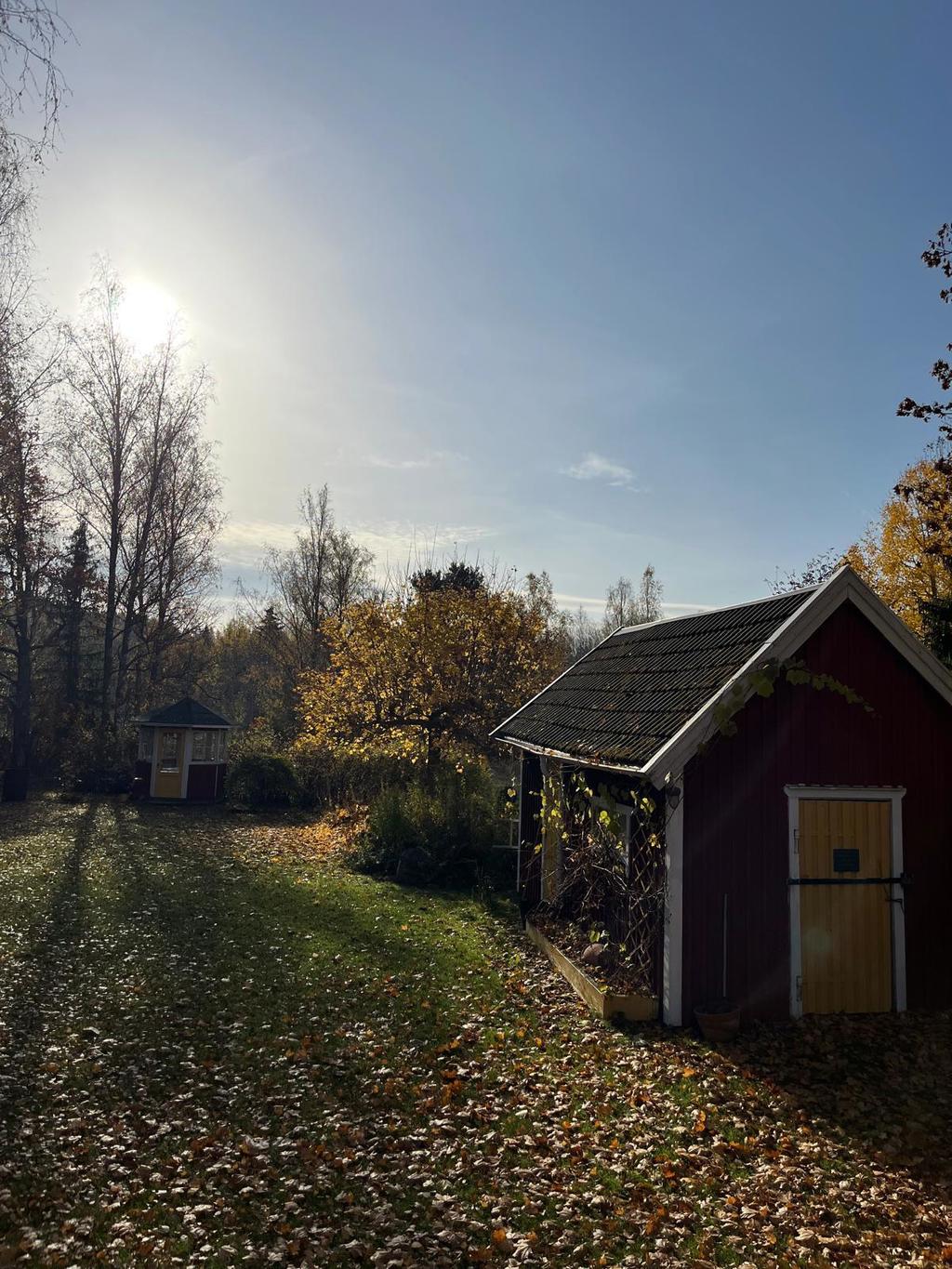 Säljarens bild