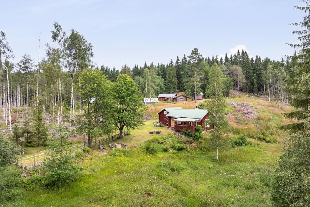 På myren nedanför stugan går skidspåren om vintern