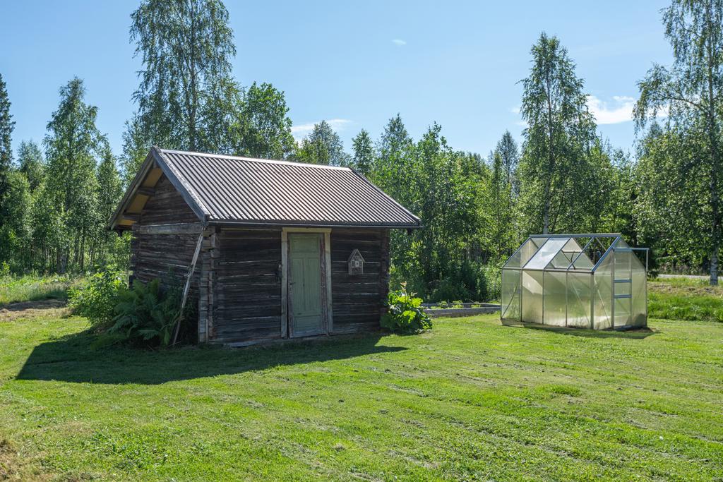 Förråd och växthus