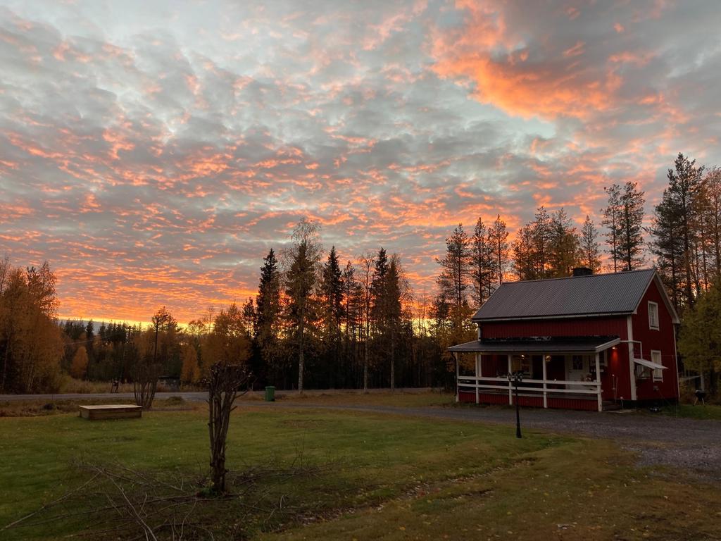 Säljarens bild - höstbild