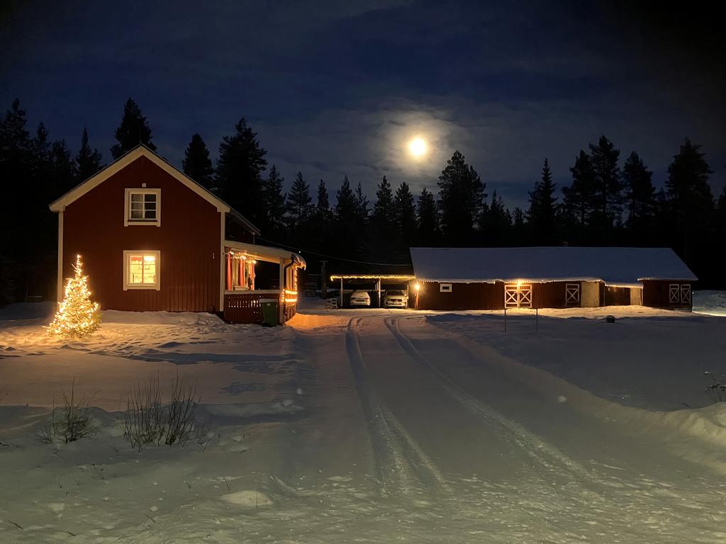 Säljarens bild - vinterbild