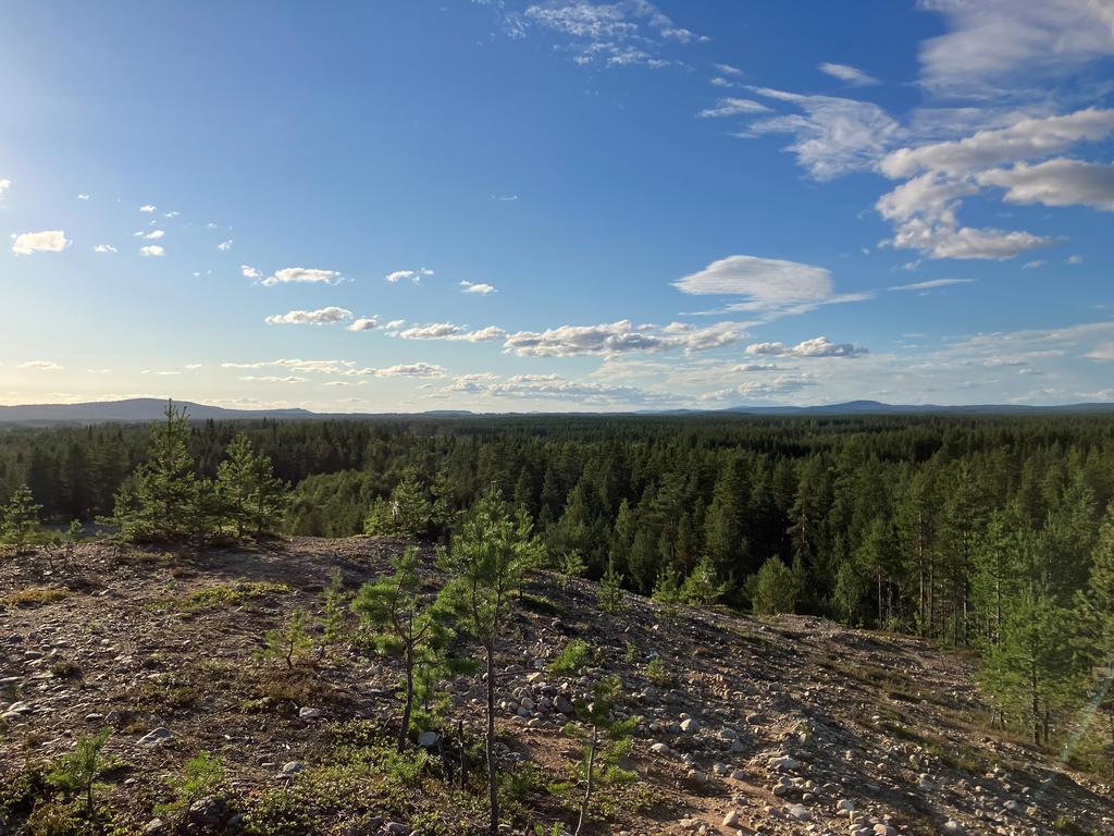 Säljarens bild - fotad på rullstensåsen ovan huset.