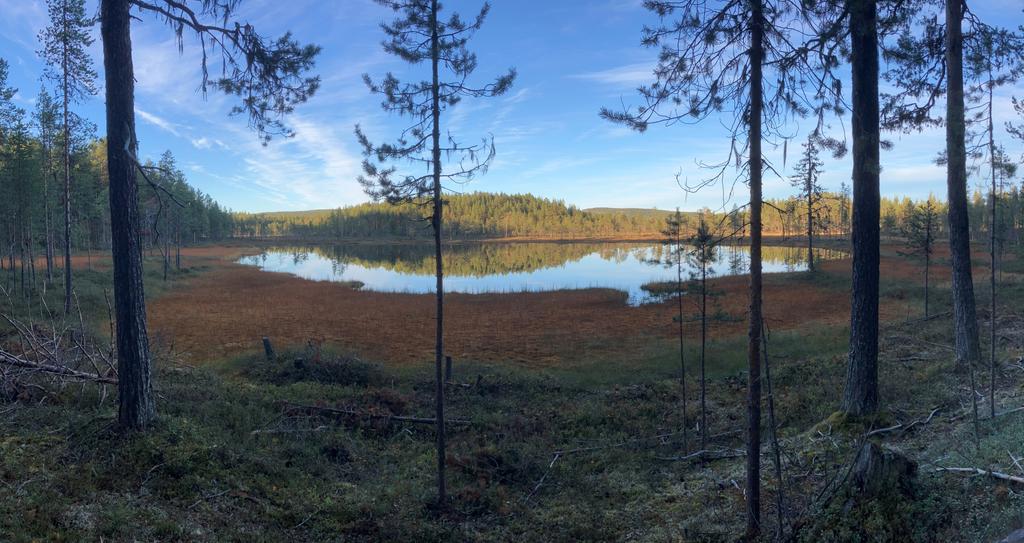 Säljarens bild - sjö belägen bakom rullstensåsen. 