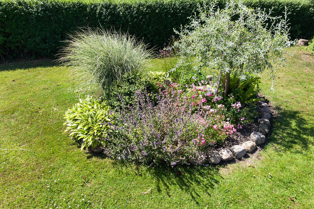 Blomsterrabatt