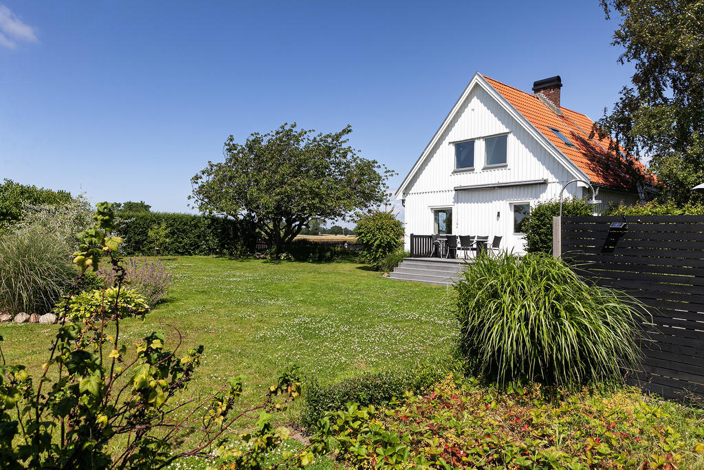 Från köksträdgården