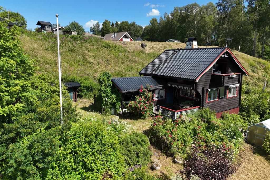 Prunkande trädgård om sommaren