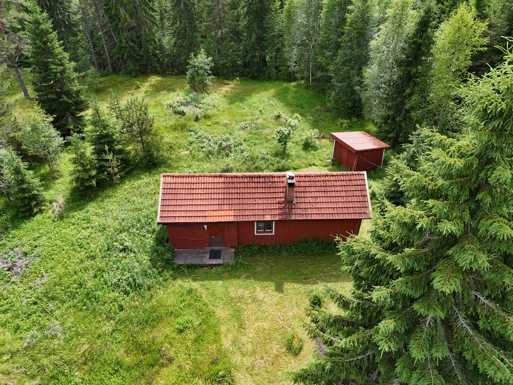 Vackert belägen bland skog och granar. 