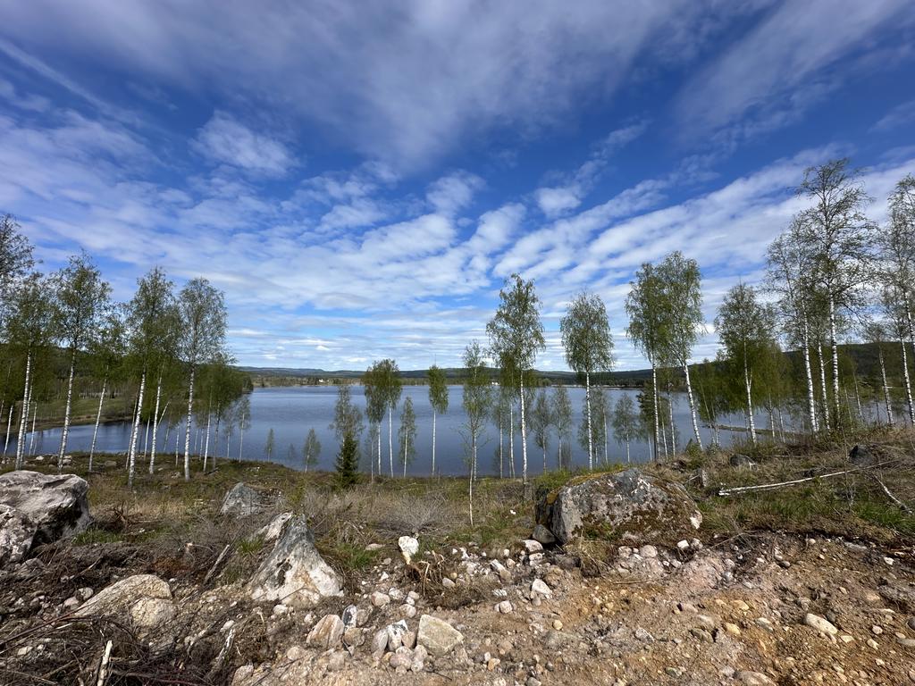 Vid Aspsjön