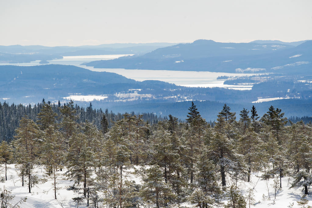 Områdesbild Torsby