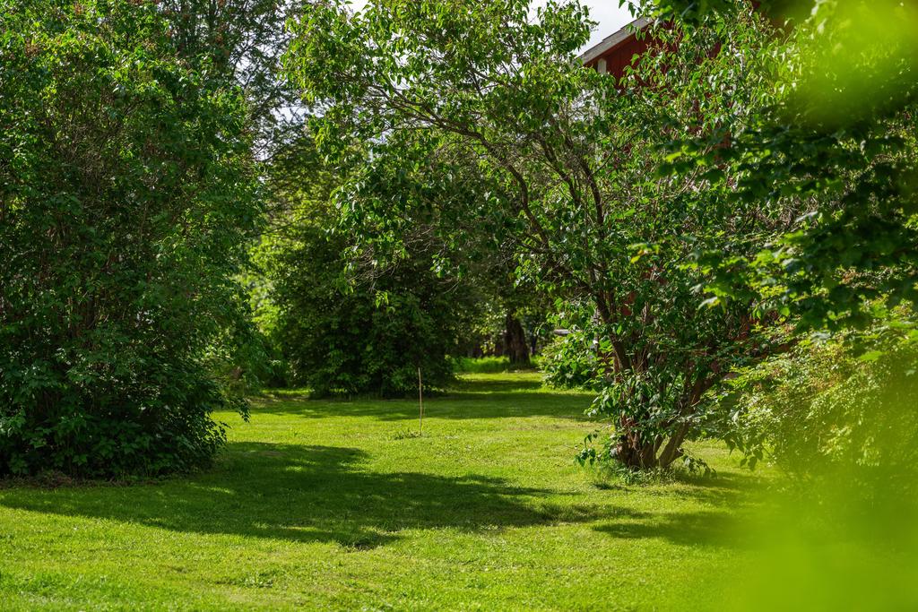 Del av trädgården