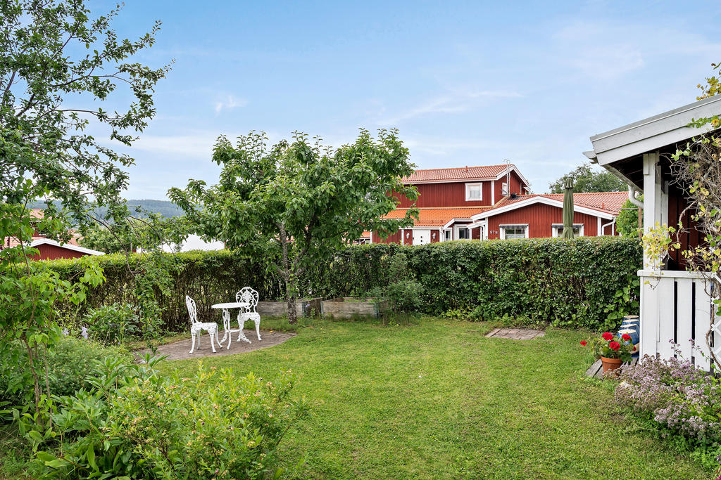 Trädgård