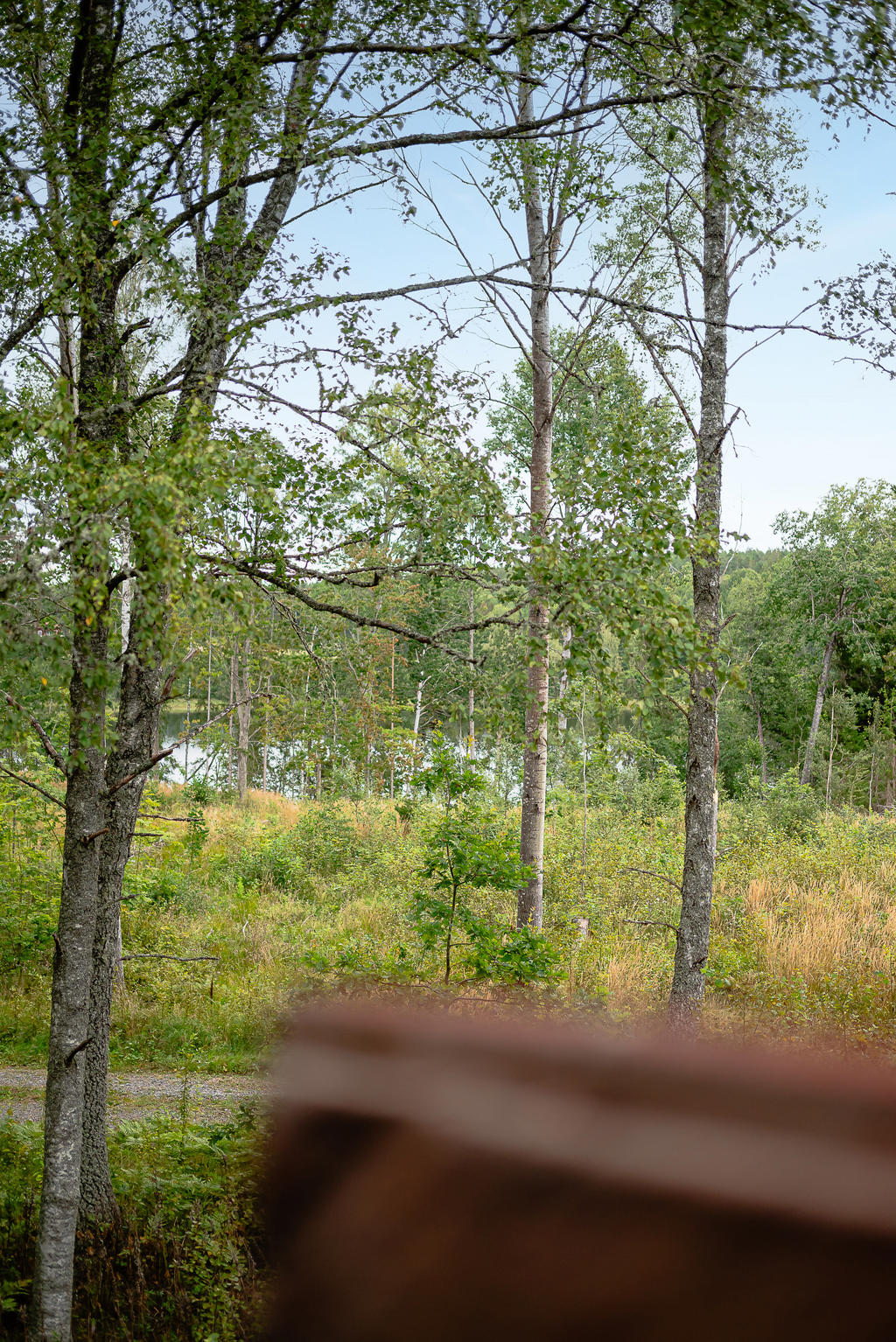 Utsikten från 1600-tals torpets loft