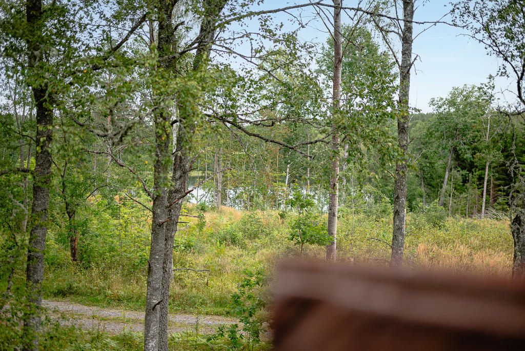 Utsikt från 1600-tals torpets loft