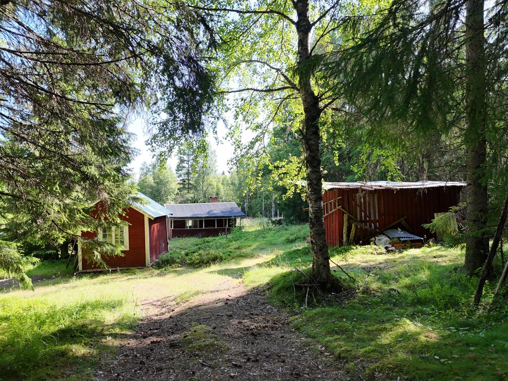 Gäststugan till vänster, bostadshuset rakt fram och vedbod till höger