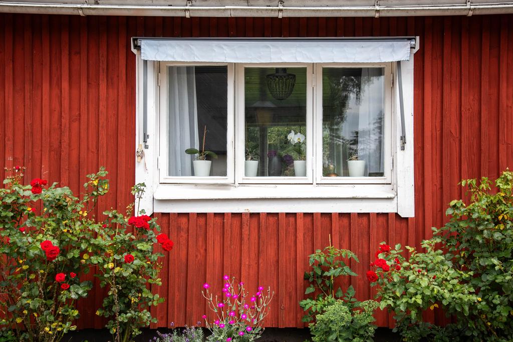 De färgstarka blommorna ger en härlig sommarkänsla  vid fönstret på huvudbyggnaden. 