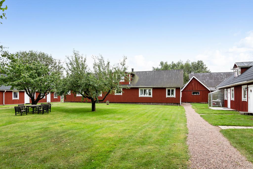 Den gemensamma trädgården som alla hyresgäster kan dra nytta av. 