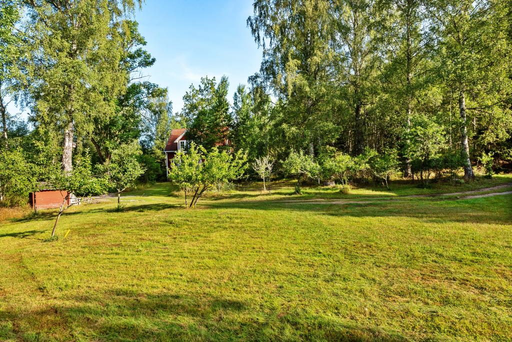 Öppen och plan yta nära huset