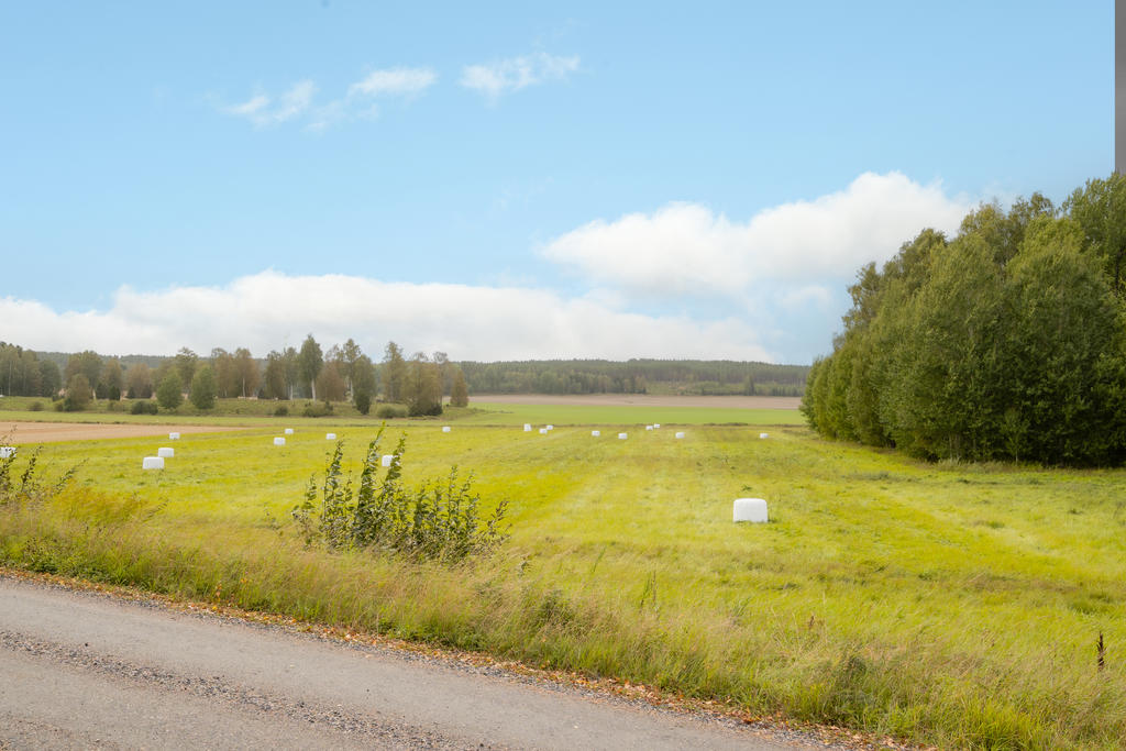 Utsikt