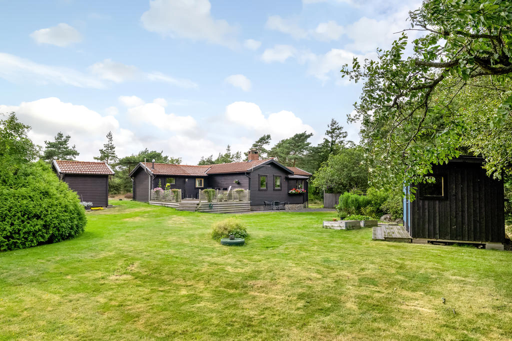 Grönskande trädgård 