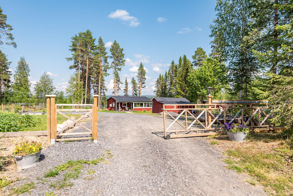 Fjäl 296