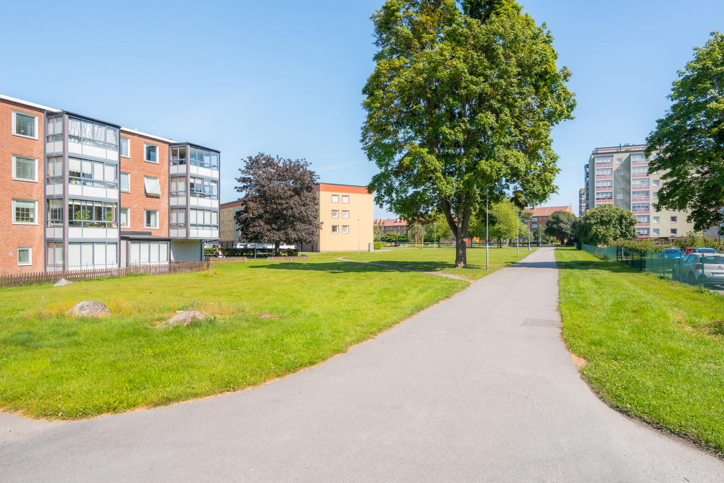 Området på innergården och runt om