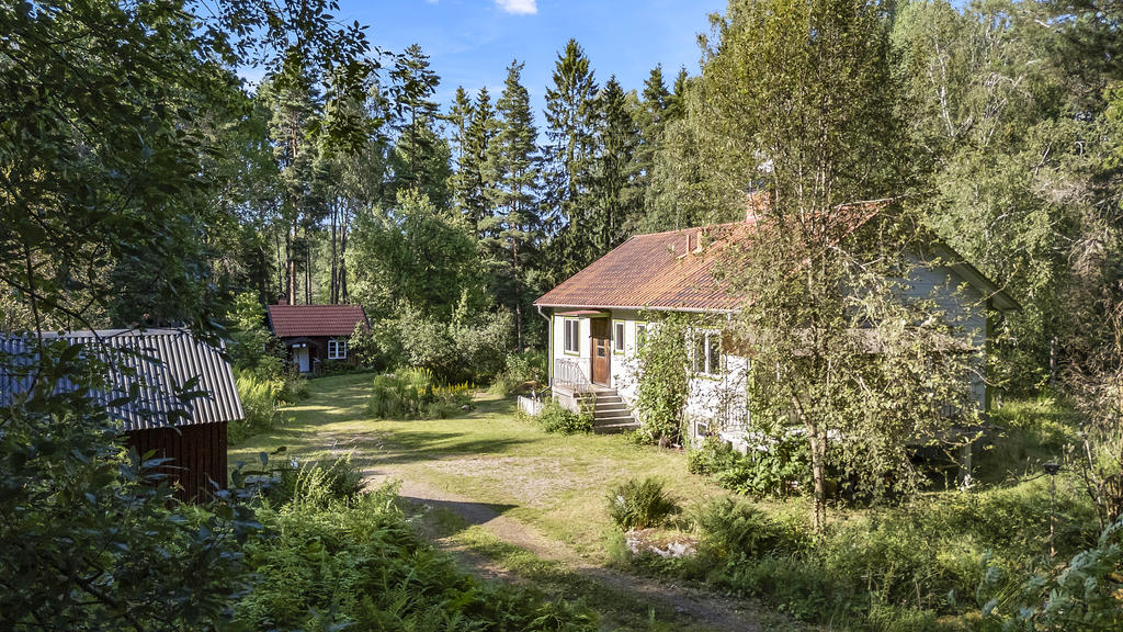 Inbäddat i grönska