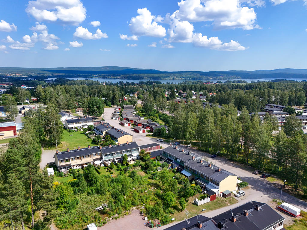 Vy över området. 